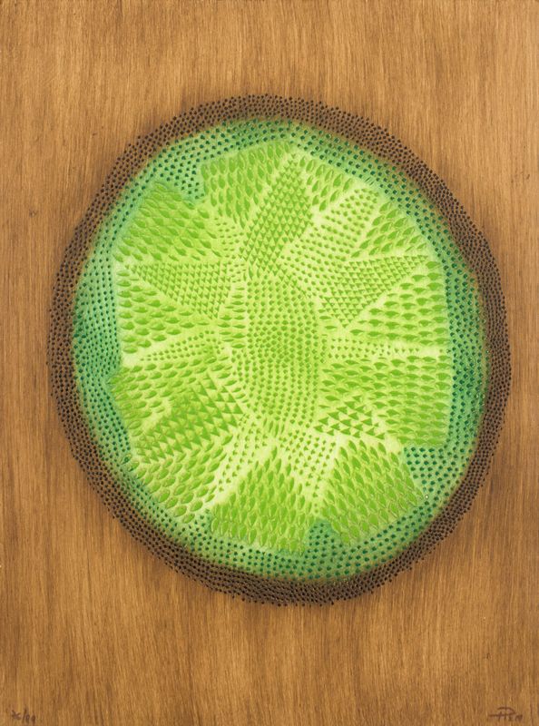 La Balade du petit Carré V