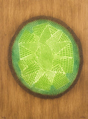 La Balade du petit Carré V